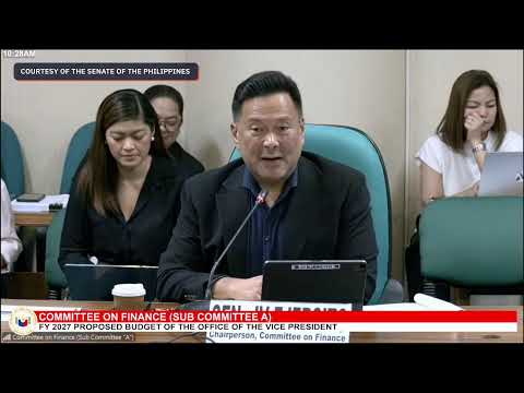 Senate panel approves proposed 2027 OVP budget in under 20 minutes