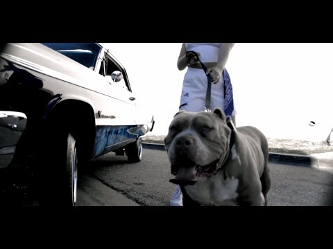 Gangsta Ric - "Blue" (explicit) Official Music Video