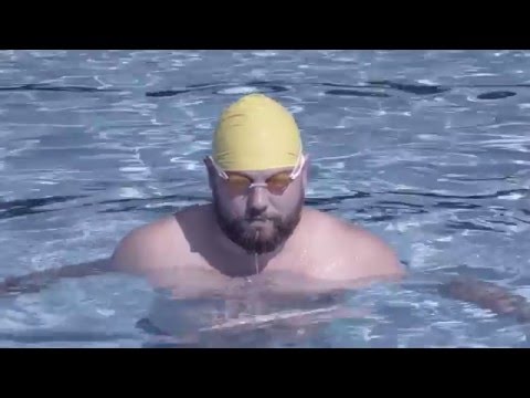 We love you Sally Lightfoot - Wave Listener