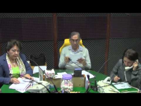 Efeméride: María Luisa Landín - Martínez Serrano.