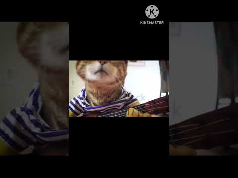 oka Maru kalisina andam #love #music #telugu #cute lyrics#lovablesongs