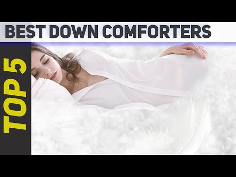 Top 5 Best Down Comforters 2023