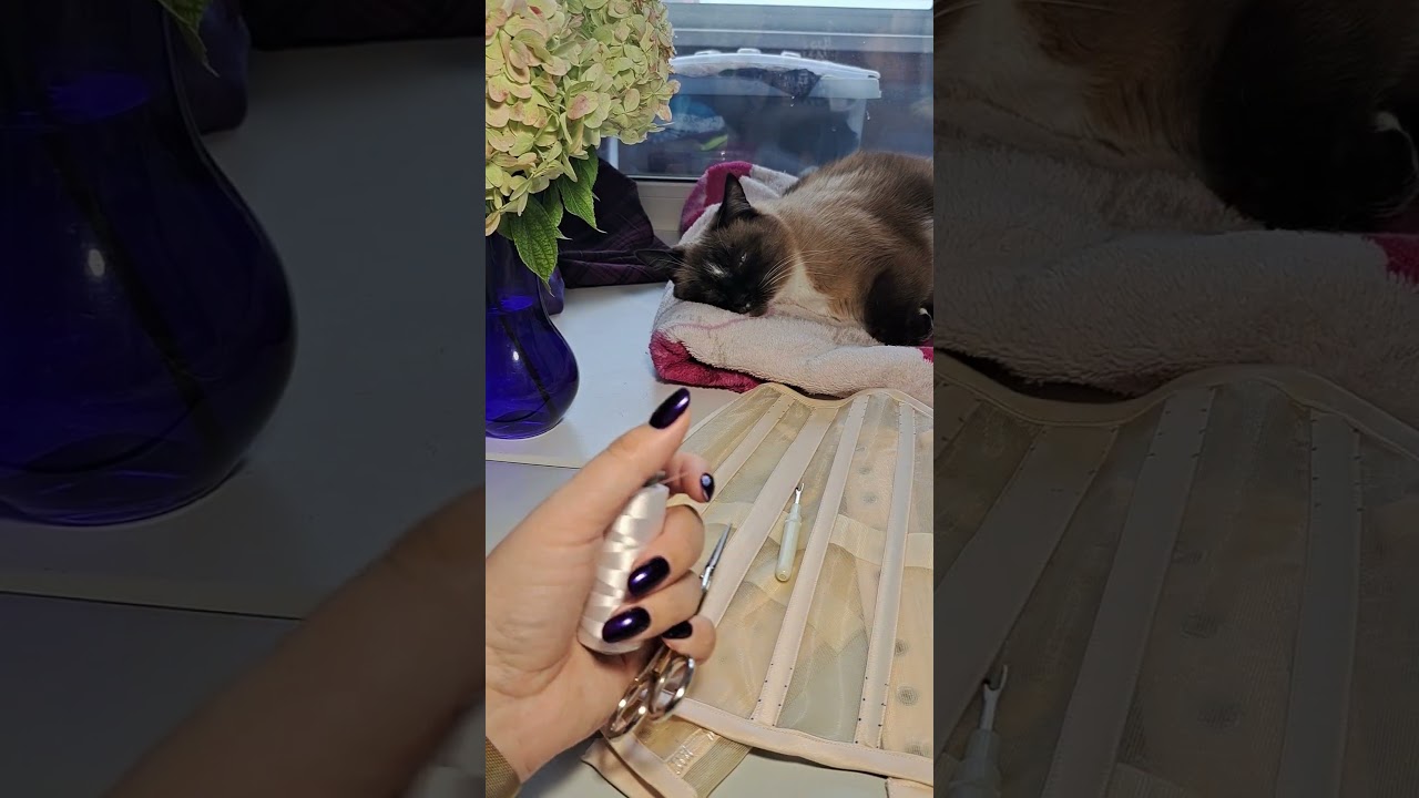 Bridal corset collection #corset #custom #bridalwear #luxurybridal