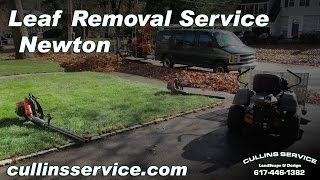 Leaf Removal Service Fall Cleanup Newton, Ma w/ Scag Giant Vac Cullins Service