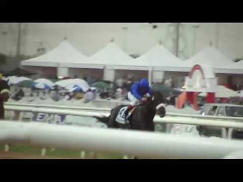 Dubai Godolphin Mile (2009)