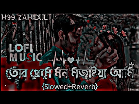 সুখ পাখি তোর প্রেমে মন মজাইয়া আমি / Shukh pakhi tor preme  | F A FUMON | lofi song | Lofi Music