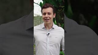 DETOX em comprimidos #detox #suplementos