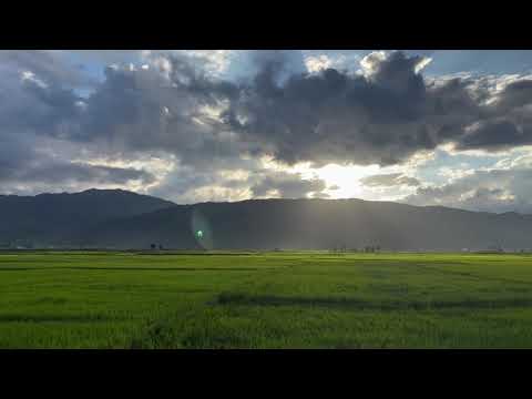 Jaldapara Car Rental Travel Story