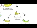Kreativní Slovník Banana Map