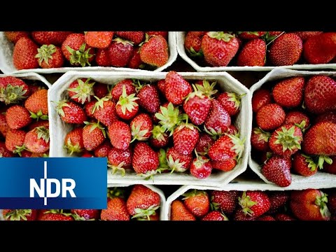 , title : 'Erdbeeren: Sorten, Anbau und Ernte | Doku | NDR | 45 Min'