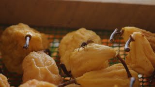 Ինդեքս 17.02.2022