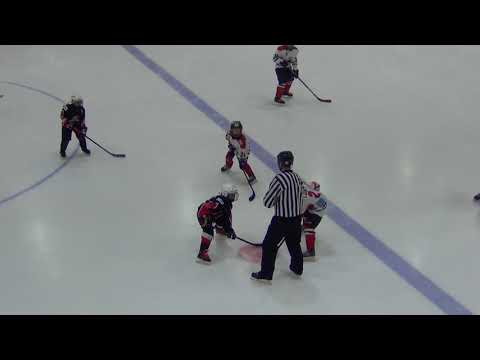 HC Vipers F BLACK – HC Panter F  2:0 (1:0 ; 1:0)  09.01.2017
