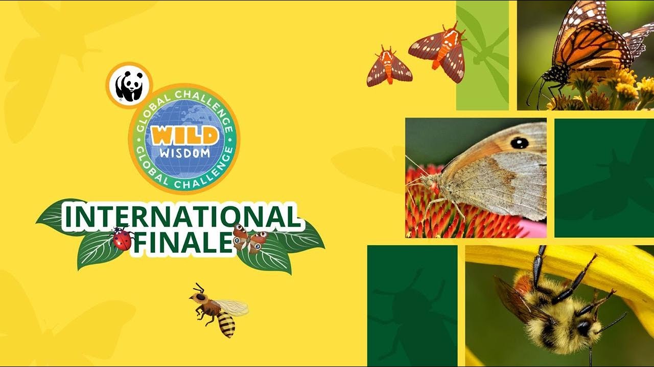 International Finale of the Wild Wisdom Global Challenge 2025
