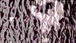 ritual howls - anchorites