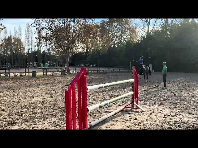 ➤ Zangersheide 13 ans 1m72 &ndash; CSI &ndash; 120 &ndash; Amateur