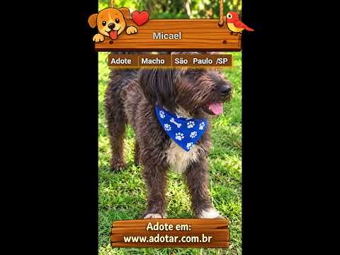 Vídeo de Micael