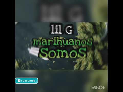 MARIHUANOS SOMOS-RAIDER (2020)