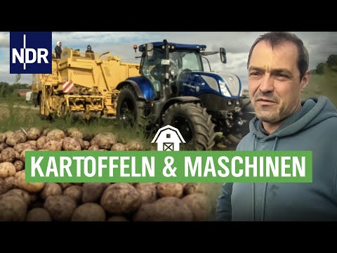 Kleine Knolle, große Maschinen - Kartoffelernte in NDS | Die Nordreportage | NDR