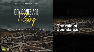 Chris Shalom - Dry Bones Are Rising (With lyrics)