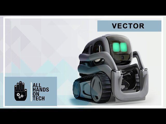 WHAT IF THE COZMO AND ANKI VECTOR ROBOT SEE EACH OTHER? TWO ARTIFICIAL  INTELLIGENCE VS WALKING STICK 