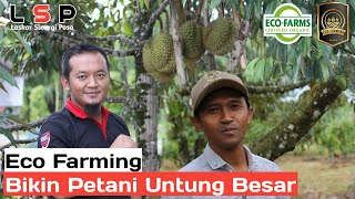 Download lagu Testimoni Pupuk Eco Farming Pada Durian Montong... mp3