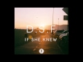 D.S.F - If She Knew (Original Mix) 