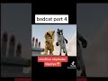 Bad Cat Vj Kevo