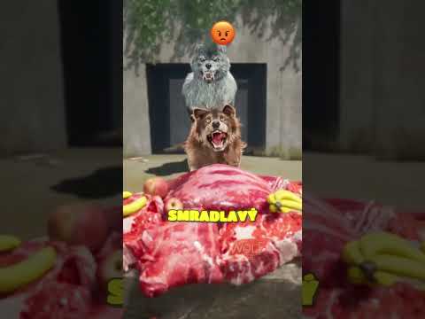 Kdo vyhraje souboj o maso!