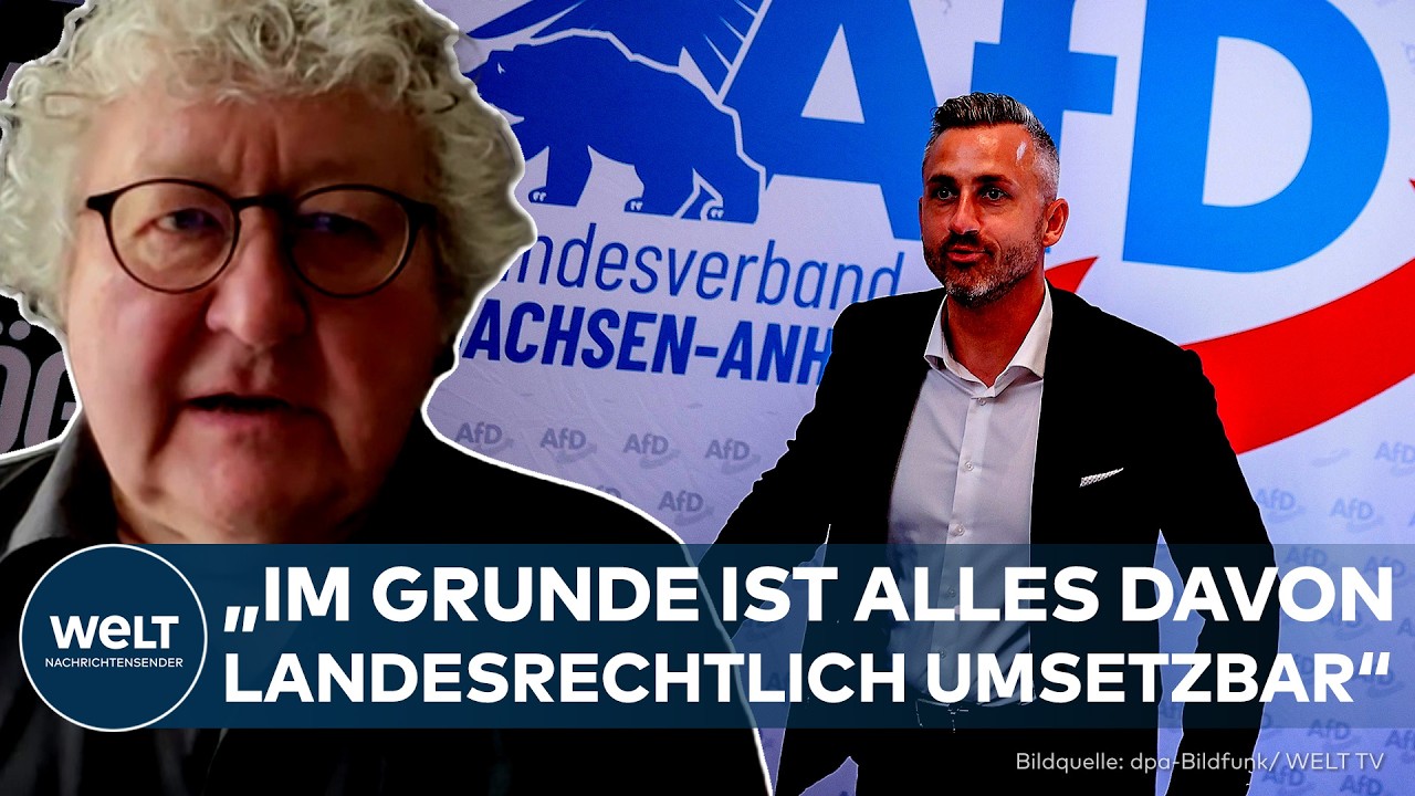 AFD: „Im Grunde ist alles davon landesrechtlich umsetzbar“ – Patzelt mit klarer Einschätzung