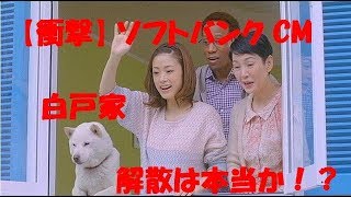 【衝撃】 ソフトバンク CM　白戸家　解散！？ この件に古田新太「言うな」 果たして。。。