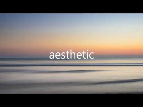 David Guetta x Ariana Grande Type Beat - aesthetic ft. DJ Snake | Pop Type Beat