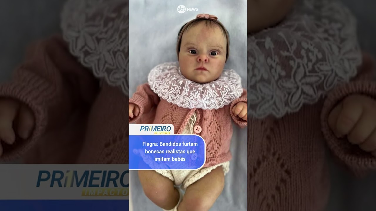 Flagra: Bandidos furtam bonecas realistas que imitam bebês