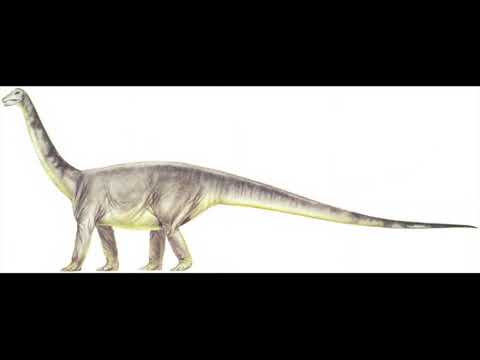 The New Dinosaurs By Dougal Dixon