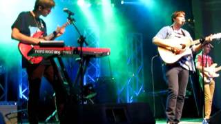 Miniature Tigers - Tropical Birds (clip)