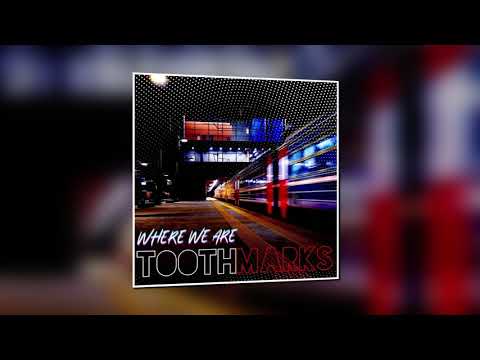 Tooth Marks - Where We Are