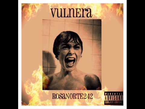 RN242 - VULNERA (2012)