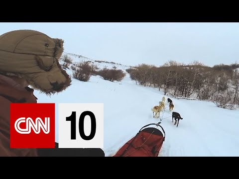 そり犬レースを体験 (Experiencing A Sled Dog Race)