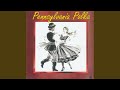 Amsel Polka