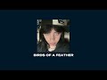 Birds Of A Feather Billie Eilish Slowed Reverb