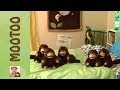 Mootoo and Declan: 5 Little Monkeys Jumping On ...
