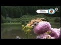 Sesame Street Song