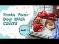 How to Crate Training a dog | Part 2 | SolidK9Training