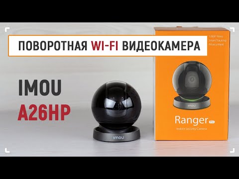 SJegNqrofOE