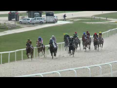 2018.04.01. 8. futam - MOGYORÓDI HENDIKEP (V.o.) (szintetikus pálya)