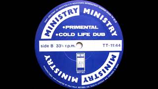 Ministry - Cold Life (Dub Mix)