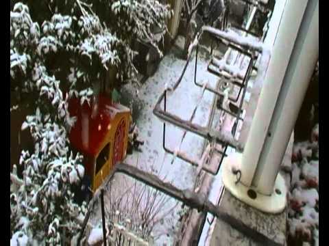 Neve ad Olbia 12 02 2012