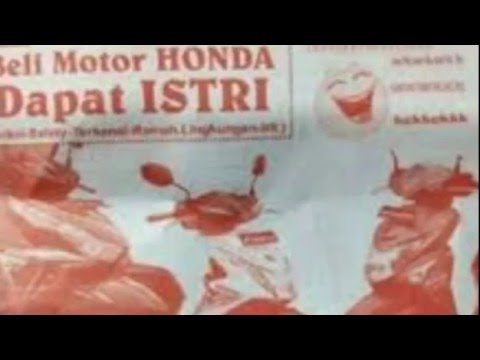 Masturbasi anggota peningkatan Potensi tinggi Homeopati