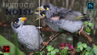 How to Reduce Noise in Photoshop
