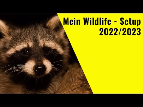 Mein Wildlife - Setup 2022/2023