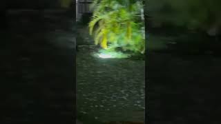 Tempestade de Granizo em Jurerê